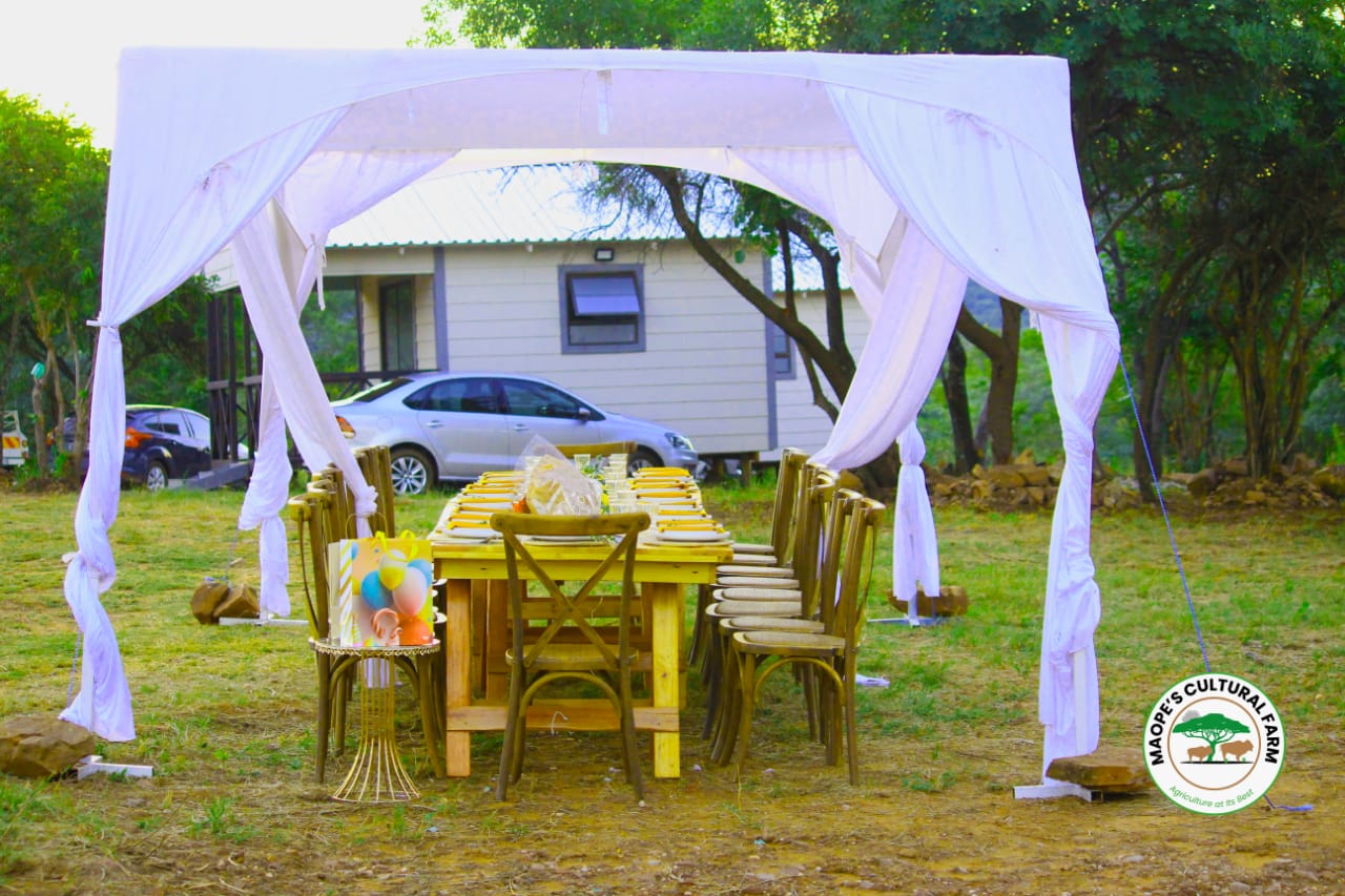 WhatsApp Image 2025-04-17 at 15.23.49