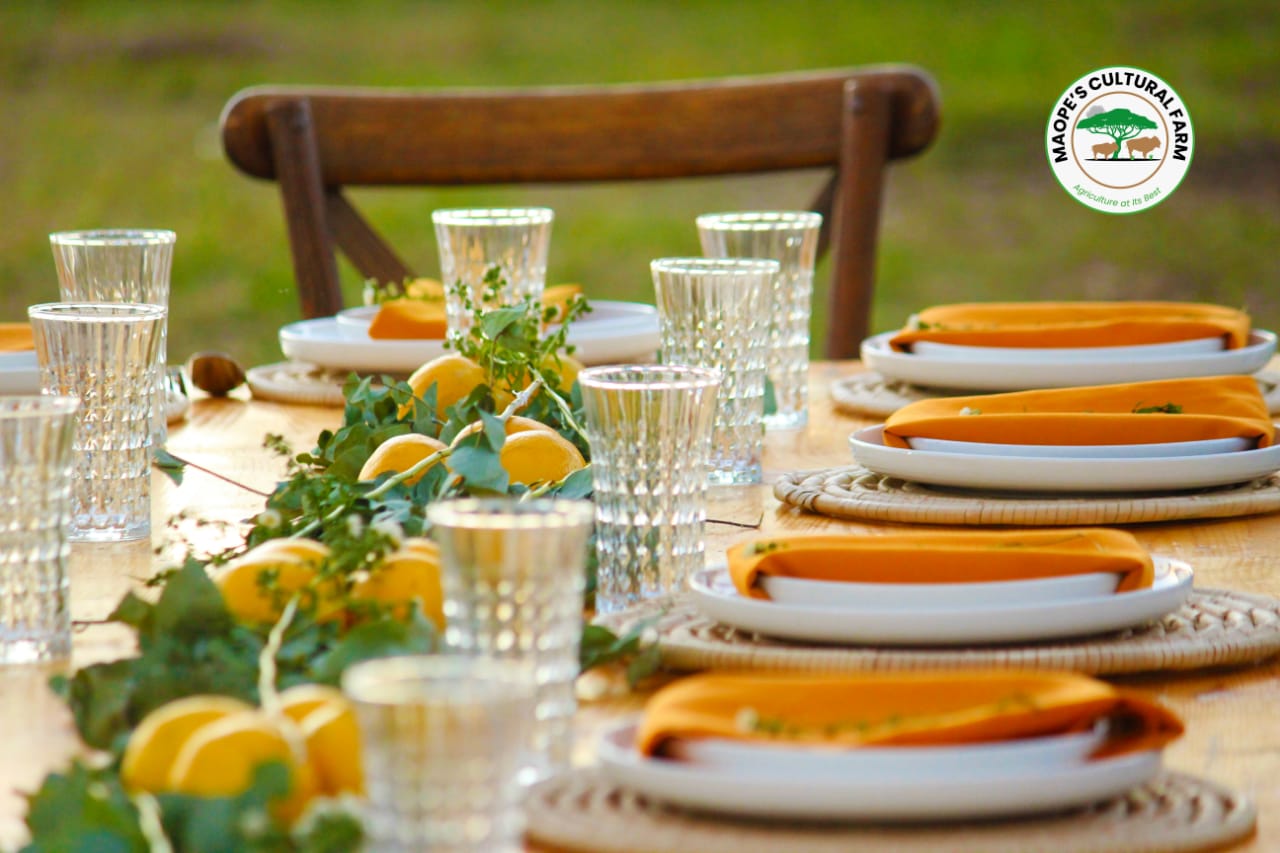 WhatsApp Image 2025-04-17 at 15.25.24