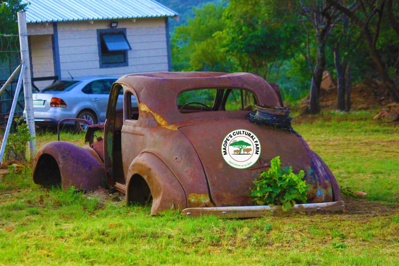 WhatsApp Image 2025-04-17 at 15.25.32