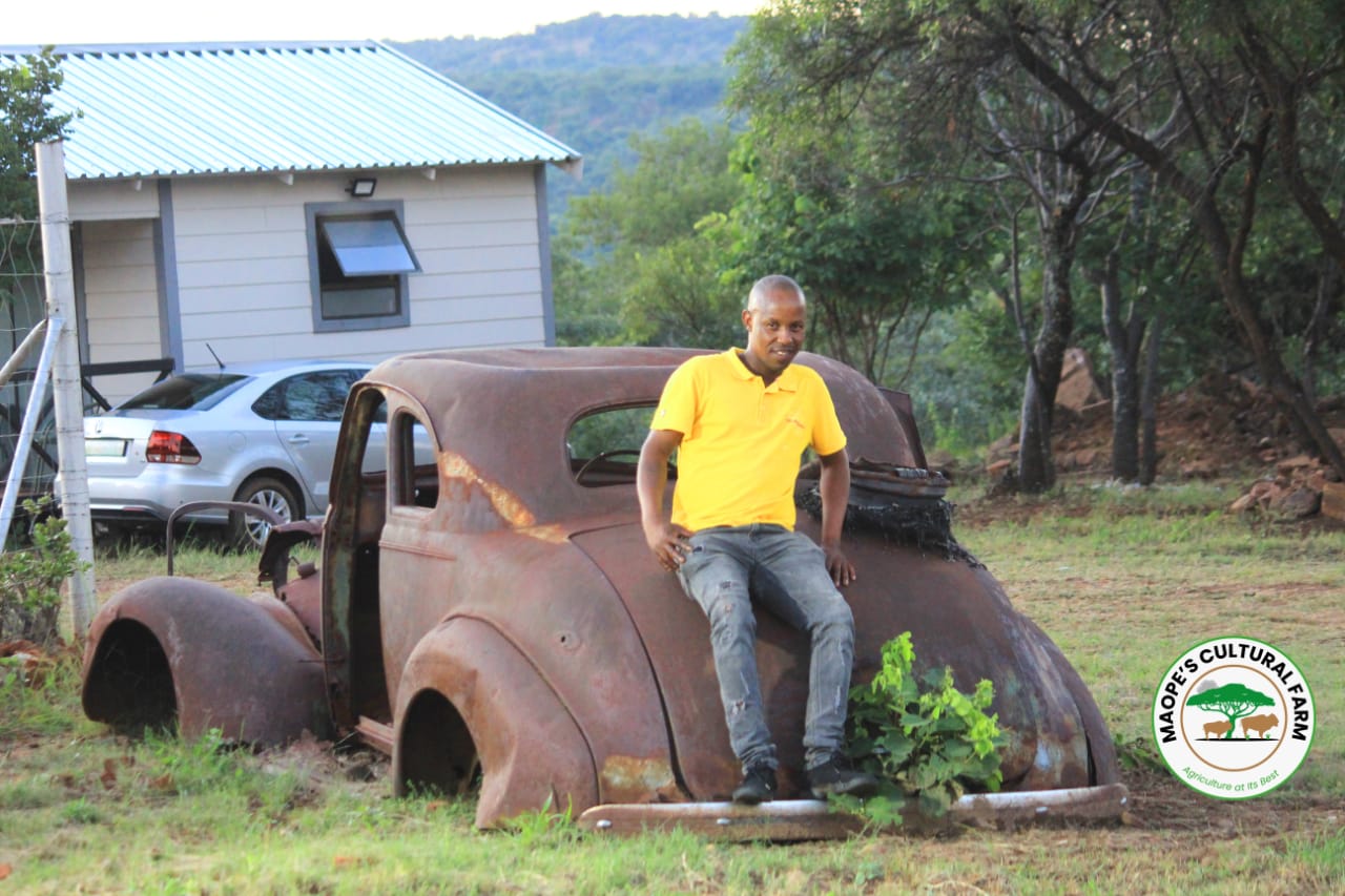 WhatsApp Image 2025-04-17 at 15.26.14